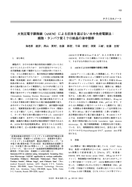 大気圧電子顕微鏡（ASEM）による抗体を選ばない水中免疫電顕法： 細胞