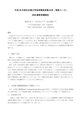 SEM 講習受講報告 - 名古屋大学全学技術センター