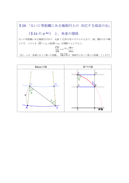 &sect;28. 「互いに等距離にある極限円上の 対応する弧長の比」 (&sect;24 の e₋kx