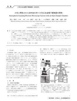 大気に開放された試料室を持つ大気圧走査電子