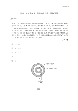 電磁気学（PDF：225KB）