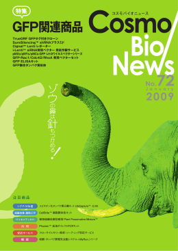 PDFダウンロード