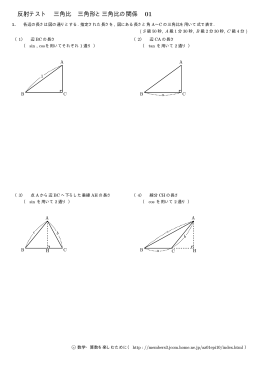 反射テスト 三角比 三角形と三角比の関係 01