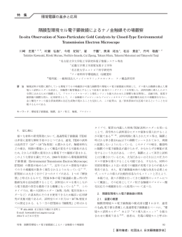 本文PDF