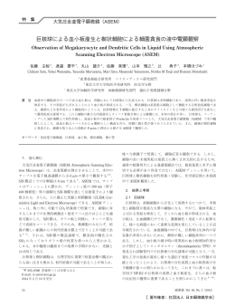 本文PDF - 日本顕微鏡学会