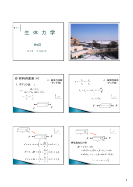 生 体 力 学