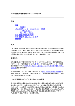エコー問題の理解とトラブルシューティング 目次 概要 前提条件