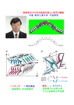 屈曲型分子が作る液晶の新しい科学と機能 代表：東京工業大学 竹添