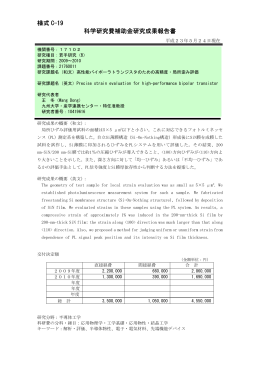 様式 C-19 科学研究費補助金研究成果報告書