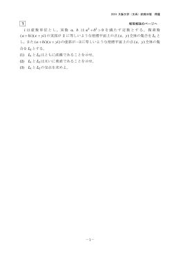 解答例＋引用題