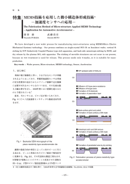 特集 MEMS技術を応用した微小構造体形成技術＊ &minus;加速度