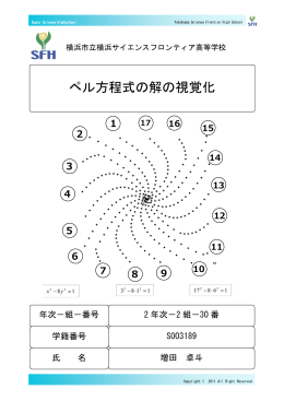 ペル方程式の解の視覚化