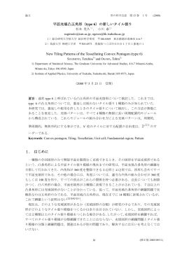 平面充填凸五角形（type 6）の新しいタイル張り New