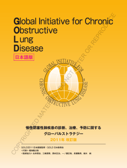 予防に関するグローバルストラテジー2011年改訂版