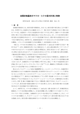 金属多結晶体のマクロ・ミクロ歪の計測と制御