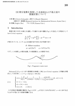 DE積分変換を利用した水面波および孤立波の数値計算について (微分