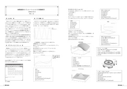 物理過程のシミュレーションと3D画像表示