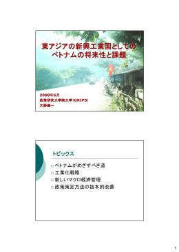 東アジアの新興工業国としての ベトナムの将来性と課題