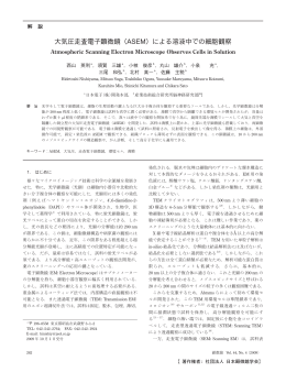 本文PDF - 日本顕微鏡学会