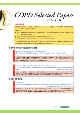 PDFデータ（見本）