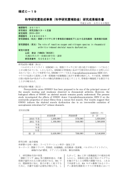 研究成果報告書 - KAKEN - 科学研究費助成事業データベース