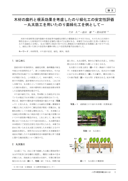 丸太筋工を用いたのり面緑化工を