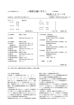 (特許)3087814