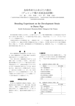 鳥取県産大山赤ぶたの創出 （デュロック種の系統造成試験） Breeding