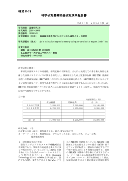 様式 C-19 科学研究費補助金研究成果報告書
