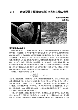 21． 走査型電子顕微鏡(SEM)で見た生物の世界