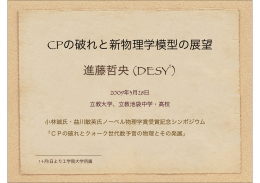 CPの破れと新物理学模型の展望 進藤哲央 (DESY )