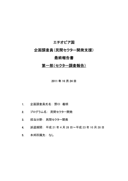 エチオピア国 企画調査員（民間セクター開発支援） 最終報告書 第