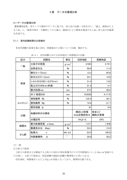 平成22年度の検討（PDF：1472KB）