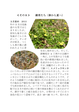 ≪その8≫ 雑草たち（春から夏へ） - ソワール新檜尾台