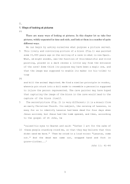 Ways of looking at pictures