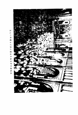 如津0苛詣か︻&rdquo;淳一＝陣神川匝＝1等半端長桝