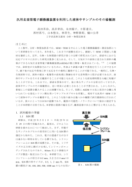 汎用走査型電子顕微鏡装置を利用した液体中