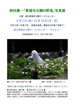 西村眞一「善福寺公園の野鳥」写真展