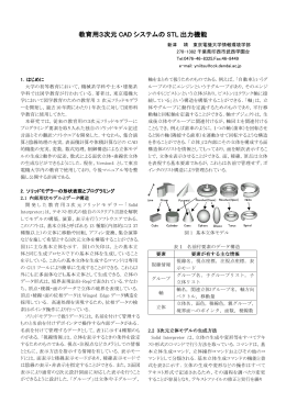 STL機能開発 - 東京電機大学：新津研究室