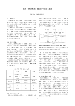 波浪・高潮の物理と数値モデルによる予測