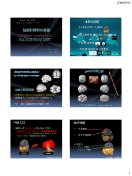 脳統計解析の基礎