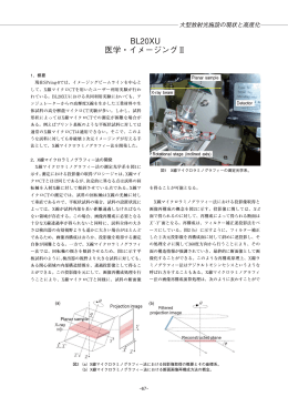 BL20XU 医学・イメージングⅡ - SPring-8