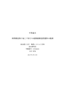 卒業論文 周期構造物で起こす原子の超微細構造間遷移の観測