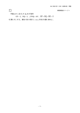 解答例＋引用題