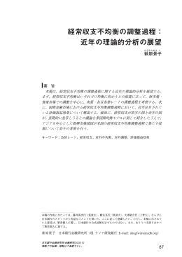 経常収支不均衡の調整過程： 近年の理論的分析の展望