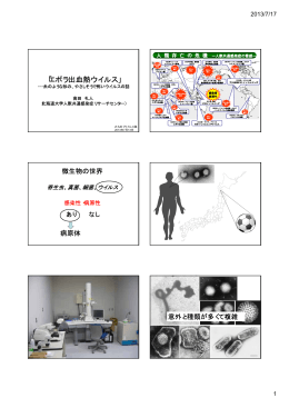 「エボラ出血熱ウイルス」