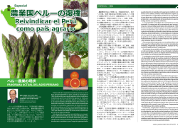 PDFファイルを開く/Leer