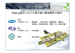 Wide-q測定における蛋白質の構造解析の検討