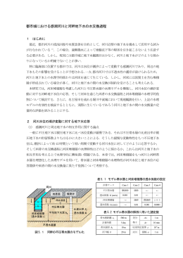 都市域における感潮河川と河畔地下水の水交換過程