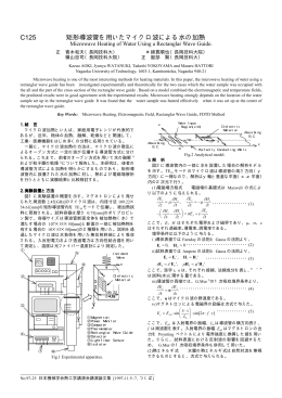 C125 矩形導波管を用いたマイクロ波による水の加熱